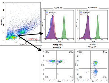 PBMC Immunophenotyping by Flow Cytometry | AAT Bioquest