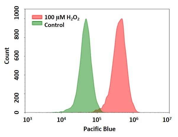 Detection of hydrogen peroxide in Jurkat cells using Cell Meter&trade; Intracellular Fluorimetric Hydrogen Peroxide Assay Kit (Cat#: 11505). Jurkat cells were stained with OxiVision&trade; Blue peroxide sensor for 30 minutes and treated with 100 &micro;M hydrogen peroxide at 37 &deg;C for 90 minutes. Cells stained with OxiVision&trade; Blue peroxide sensor but without hydrogen peroxide treatment were used as control.