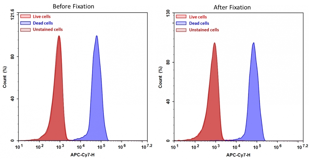Detection of Jurkat cell viability by Cell Meter&trade; fixable viability dye. Jurkat cells were treated and stained with&nbsp;Cell Meter&trade; IX830 (Cat#22529), and then fixed in 3.7% formaldehyde and analyzed by flow cytometry. &nbsp;The dead cell population (Blue peak)&nbsp; is easily distinguished from the live cell population (Red peak)&nbsp; with APC-Cy7 channel, and nearly identical results were obtained before and after fixation.