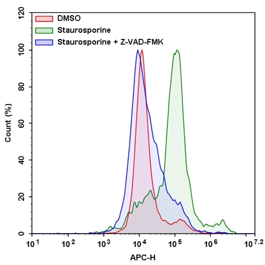 Flow cytometric analysis of active caspase 8 using Cell Meter&trade; Live Cells Caspase 8 detection kit in Jurkat cells. The cells were treated with 1 &mu;M staurosporine for 5 hours (Green) while untreated cells were used as a control (Red). The staurosporine response was inhibited by Z-VAD-FMK (caspase inhibitor) shown as blue. Cells were incubated with iFluor 647-LETD-FMK for 1 hour at RT. The fluorescent intensity was measured using NovoCyte flow cytometer with 660/20 nm filter (APC channel).