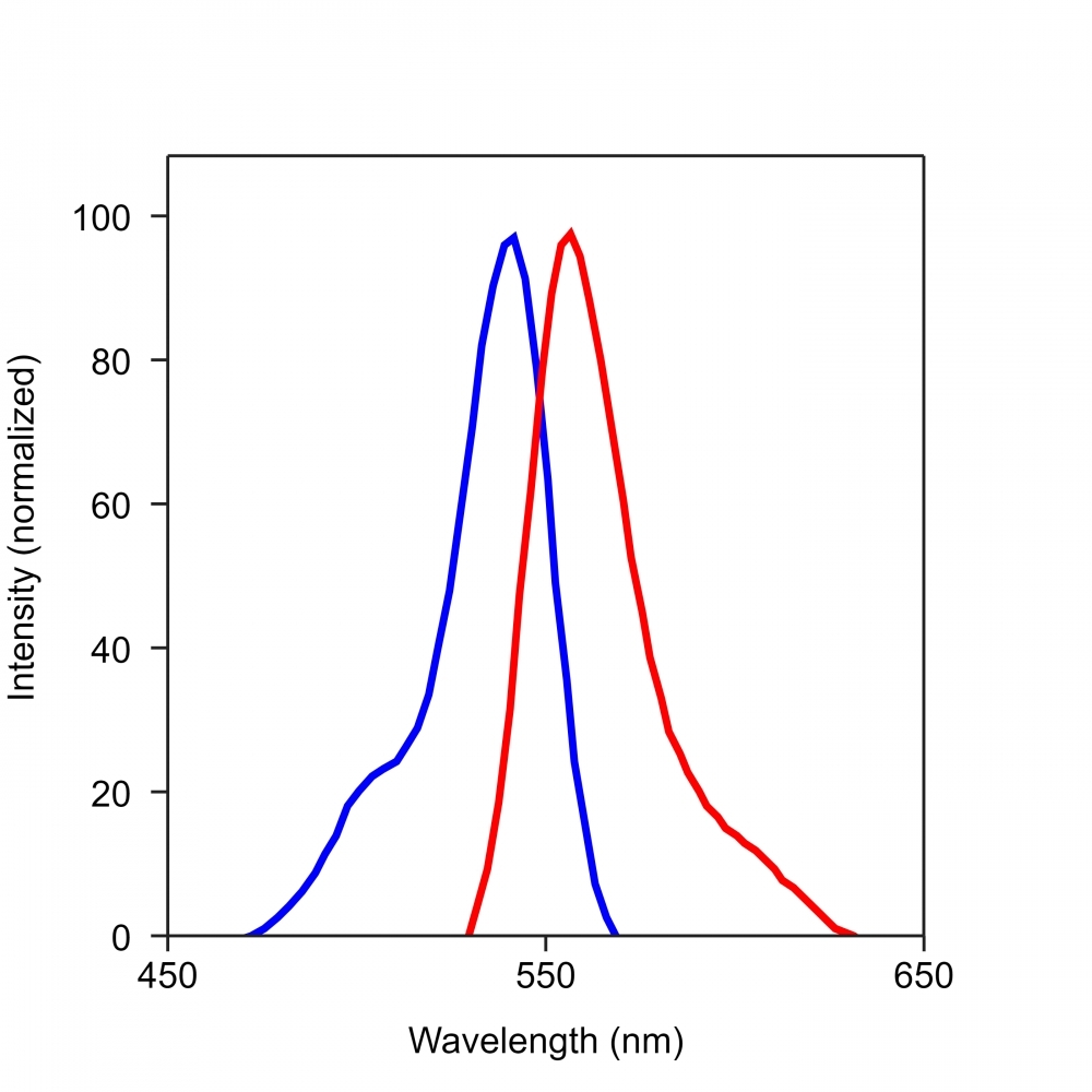The excitation and emission spectra of iFluor<sup>TM&nbsp;</sup>546.&nbsp;