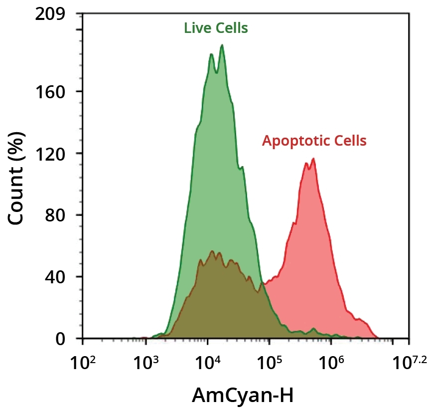 Flow cytometric analysis of cells undergoing apoptosis using Annexin V-mFluor&trade; Violet 510. Jurkat cells were treated with (red) or without 1 &micro;M staurosporine (green) for 4 hours at 37 &ordm;C. Cells were then incubated with Annexin V labeled using the ReadiLink&trade; Rapid mFluor&trade; Violet 510 Antibody Labeling Kit (Cat No. 1110) for 30 minutes to identify apoptotic cells. Fluorescence intensity was measured using an ACEA NovoCyte flow cytometer.