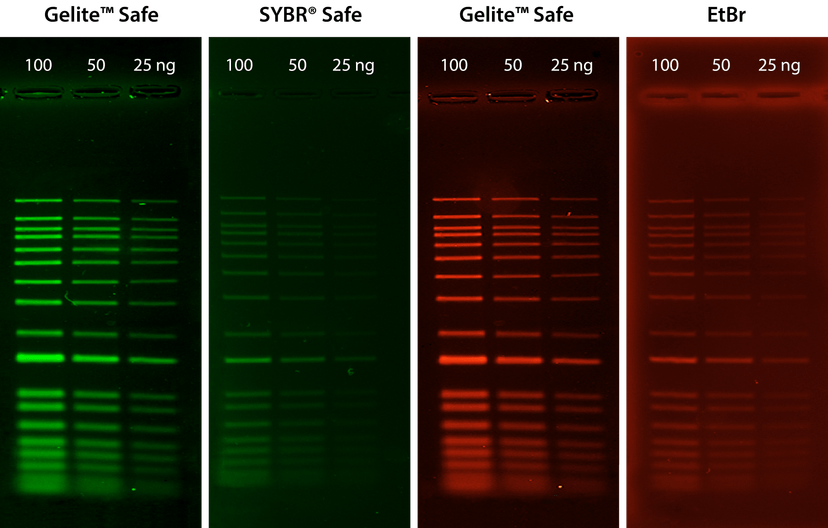 Gel Stain Comparison