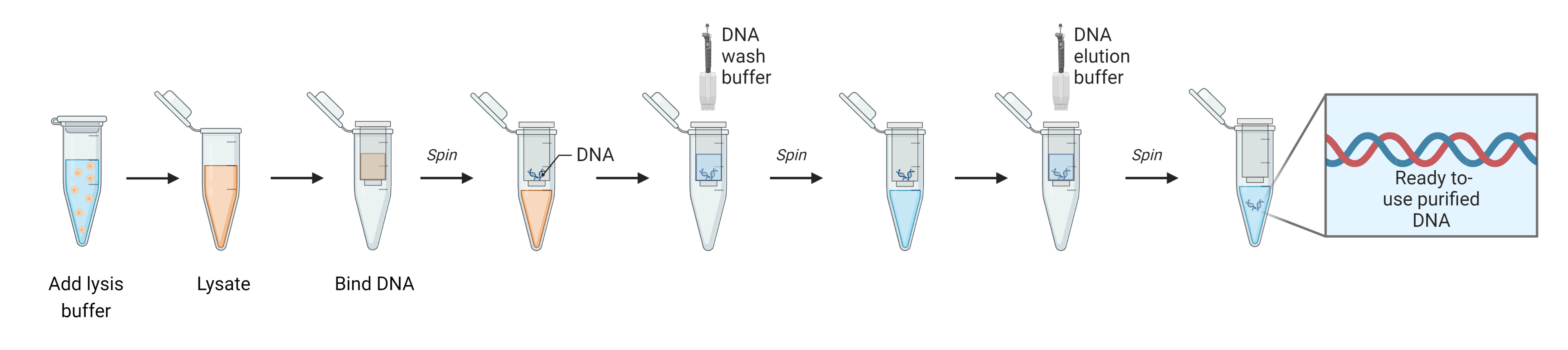 Image?url=https   Images.aatbio.com Universal Newsletter Volume 11 1 Silica Gel DNA Extraction Workflow &w=3840&q=100