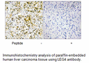 Product image for LEG4 Antibody