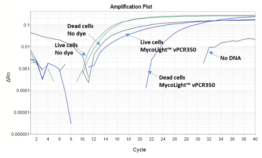 Normalized qPCR curves were obtained from a viability PCR experiment involving live and heat-inactivated E. coli, treated with MycoLight™ vPCR350. The qPCR analysis utilized primers targeting a region of the uidA gene. Treatment with MycoLight™ vPCR350 did not impact the amplification of DNA from live E. coli. However, it led to a notable delay in the amplification of DNA from heat-killed E. coli.