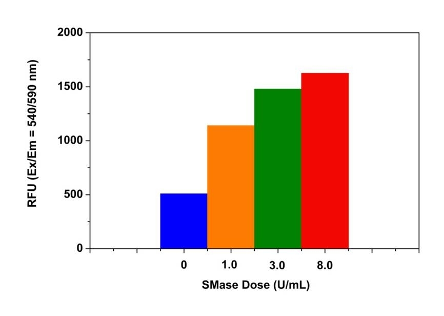Sphingomyelinase (from human placenta) dose response was measured on a 96-well half-area black plate with Amplite® Fluorimetric Acidic Sphingomyelinase Assay Kit (13622) using a fluorescence microplate reader. 20 µL of SMase standard or control was incubated with 20 µL of sphingomyelin working solution at  37 °C for 3 hours, and then 20 µL of sphingomyelinase assay mixture was added into each well. The signals shown in the figure are the readings at Ex/Em = 540/590 nm (cut off at 570 nm) after 2 hours incubation at room temperature.