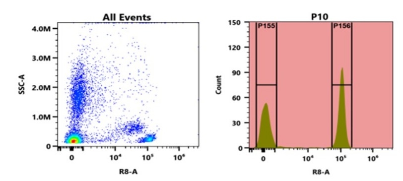 Flow cytometry analysis of whole blood stained with APC-iFluor® 780 anti-human CD4 *SK3* conjugate. The fluorescence signal was monitored using an Aurora spectral flow cytometer in the APC/iFluor® 780 specific R8-A channel.