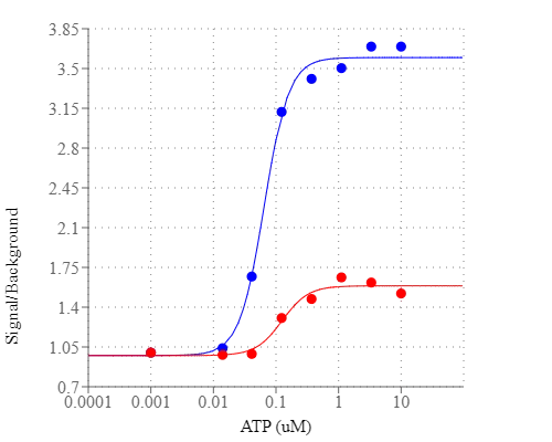 ATP-stimulated calcium response of endogenous P2Y receptor in CHO-K1 cells incubated with Cal-590® AM or Rhod-2 AM under the same conditions. CHO-K1 cells were seeded overnight at 50,000 cells per 100 µL per well in a 96-well black wall/clear bottom Costar plate. 100 µL of 5 µg/mL Cal-590® AM or Rhod-2 AM with 2.5 mM probenecid was added into the cells, and the cells were incubated at 37 °C for 1 hour. ATP (50 µL/well) was added by FlexStation (Molecular Devices) to achieve the final indicated concentrations.