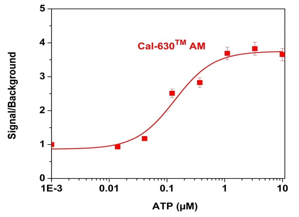 ATP-stimulated calcium responses of endogenous P2Y receptor in CHO-K1 cells incubated with Cal-630™ AM (red curve). CHO-K1 cells were seeded overnight at 50,000 cells per 100 uL per well in a Costar black wall/clear bottom 96-well plate. 100 uL of 5 µM Cal-630 ™ AM in HHBS (with 1.0 mM probenecid) was added into the cells and incubated at 37 °C for 1 hour. ATP (50 uL/well) was added using FlexSation to achieve the final indicated concentrations.