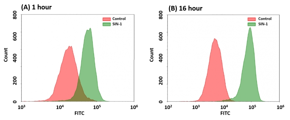 <p>Detection of peroxynitrite in Jurkat cells upon SIN-1 treatment using AAT Cell Meter™ Fluorimetric Intracellular Peroxynitrite Assay Kit (Cat#16317). (A) Jurkat cells were co-incubated with DAX-J2™ PON Green and 200 µM SIN-1 in full medium at 37 ºC for 1 hour. (B) Cells were stained with DAX-J2™ PON Green for 1 hour, washed with PBS and then incubated with 200 µM SIN-1 in full medium at 37 ºC for 16 hours. Cells stained with DAX-J2™ PON Green but without SIN-1 treatment were used as a control. Fluorescence intensity was measured using ACEA NovoCyte flow cytometer in FITC channel.</p>