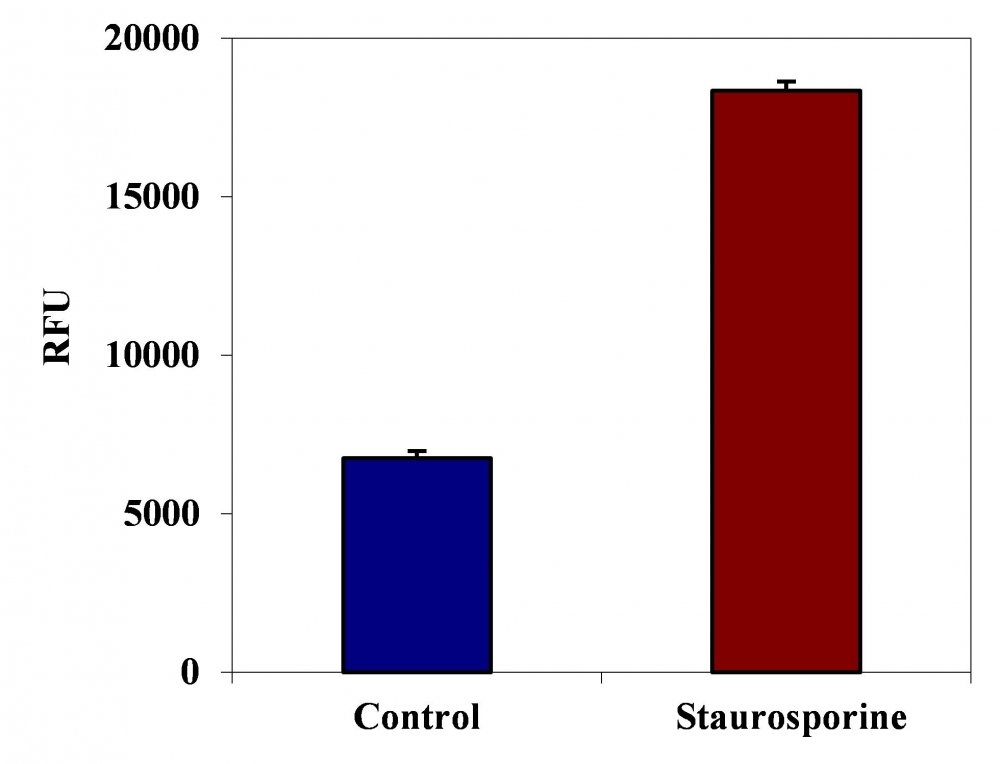 <p>FAM-AEVD-FMK fluorometric detection of active Caspase 10 using Kit # 20119 in Jurkat cells. The cells were treated with 1 μM staurosporine for 3 hours (Red) while untreated cells were used as a control (Blue). Cells were incubated with FAM-AEVD-FMK for 1 hour at 37°C. The fluorescent intensity (300, 000 cells/100 μL/well) was measured at Ex/Em = 490/525 nm (cut off at 515 nm) with a FlexStation microplate reader using bottom read mode.</p>