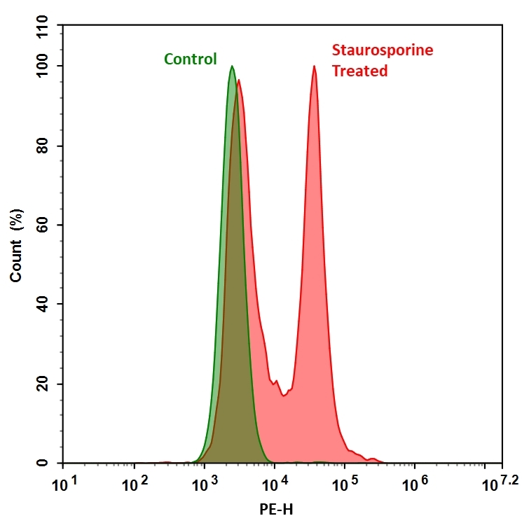 Fluorometric detection of active caspases 3/7 using TF3-DEVD-FMK (Cat# 20101) in Jurkat cells. The cells were treated with 1 μM staurosporine for 4 hours (Red) while untreated cells were used as a control (Green). Control and treated cells were incubated with TF3-DEVD-FMK for 1 hour at 37 °C, and then washed once after stain. Fluorescent intensity was measured with NovoCyte™ 3000 flow cytometer blue laser excitation/PE emission channel.