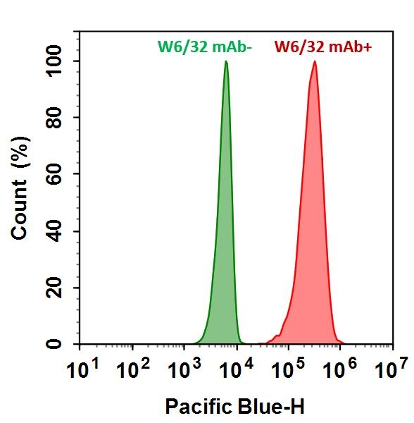 <p>HL-60 cells were incubated with (Red, +) or without (Green, -) Anti-human HLA-ABC (W6/32 mAb), followed by iFluor® 405 goat anti-mouse IgG (H&L). The fluorescence signal was monitored using ACEA NovoCyte flow cytometer in the Pacific Blue channel (Ex/Em=405/445 nm). </p>