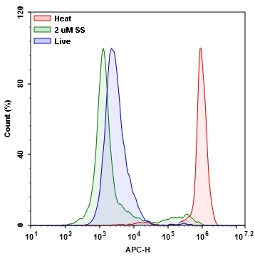 Detection of Jurkat cell viability by Live or Dead™ Fixable Dead Cell Staining Kits (Cat#22604). Jurkat cells were treated and stained with Stain It™ Deep Red, and then fixed in 3.7% formaldehyde and analyzed by flow cytometry. Live (Blue), staurosporine treated (Green) and heat-treated (Red) cells were distinguished with APC channel. 