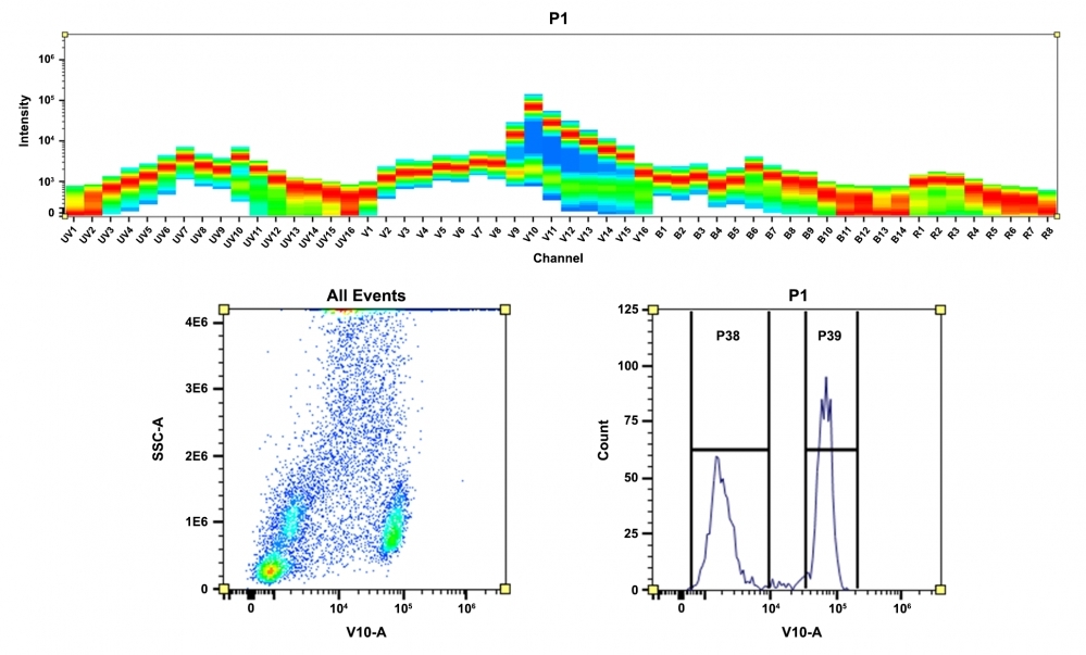 <b>Top)</b> The spectral pattern was obtained using a 4-laser spectral cytometer. Lasers at wavelengths of 355 nm, 405 nm, 488 nm, and 640 nm were spatially offset to generate four distinct emission profiles. The combination of these profiles resulted in the overall spectral signature. <b>Bottom)</b> Flow cytometry analysis was conducted on whole blood cells stained with the CD4-mFluor™ Violet 610 conjugate. The fluorescence signal was detected using an Aurora spectral flow cytometer, specifically in the V10-A channel optimized for mFluor™ Violet 610.