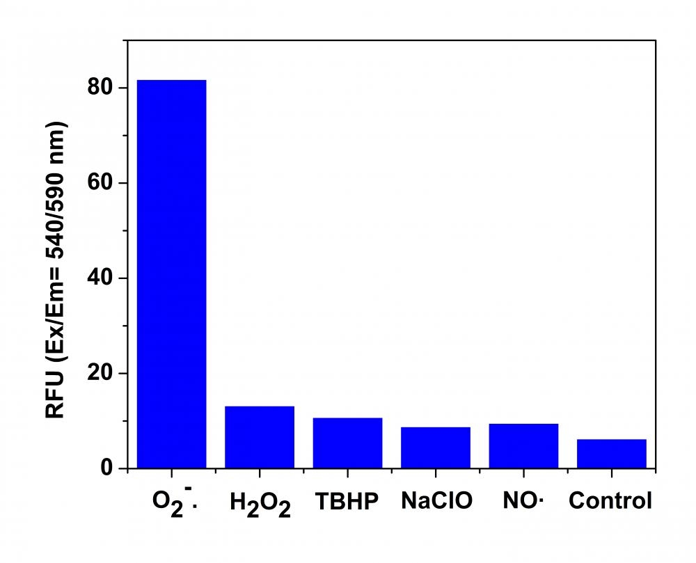 Fluorescence response of MitoROS™ 580 (10 µM)to different reactive oxygen species (ROS) and reactive nitrogen species (RNS). The fluorescence intensities were monitored at Ex/Em = 540/590 nm.