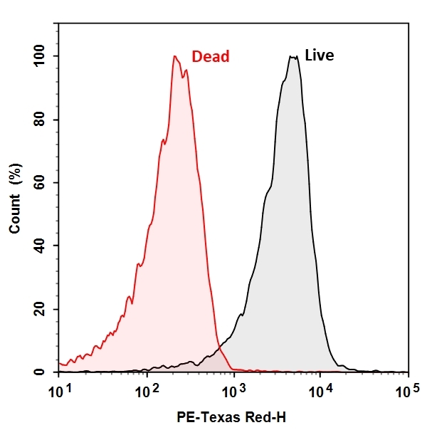 Live and dead (ethanol treated and boiled) <em>E.coli</em> were stained with 1X of CTC for 30 mins at 37°C. Samples were analyzed by flow cytometer with a 488 nm excitation and 615/24 nm bandpass filter. Live and dead bacteria population showed very distinct peaks.