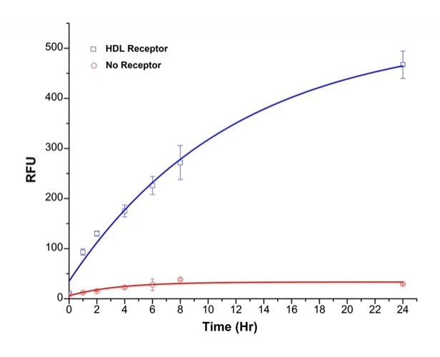 <p>RAW 264.7 cells were incubated with 10 uM of PG-Chol for 24 hours in a 96-well plate. The cells were then incubated in 1% FBS medium for over night. The next day, the cholesterol efflux was induced by 200 ug/mL HDL for different period of time. The cell culture medium was collected and fluorescence was measured by a microplate reader at 490/520 nm.</p>