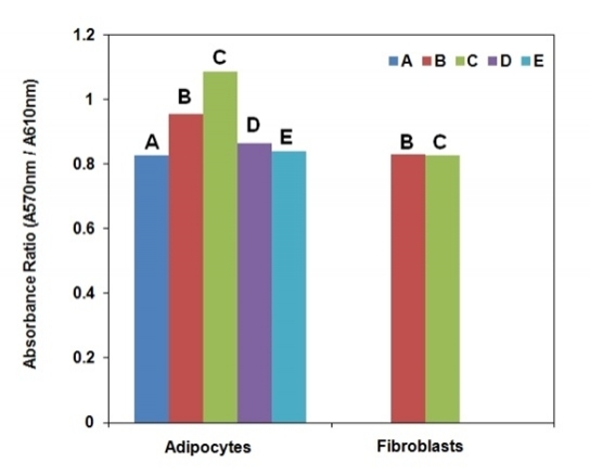 Measurement of 2DG uptake in differentiated 3T3-L1 adipocytes and 3T3-L1 fibroblasts. Assays were performed with Screen Quest™ Colorimetric Glucose Uptake Assay Kit in a black wall/clear bottom cell culture Poly-D lysine plate using a SpectraMax (Molecular Devices) microplate reader. (A: Negative Control, no insulin no 2-DG treatment. B: 2DG uptake in the absence of insulin. C: 2DG uptake in the presence of 1mM insulin. D: 2DG uptake in the presence of 1mM insulin and 200 mM phloretin. E: 2DG uptake in the presence of insulin 1mM and 5mM D-Glucose.) 