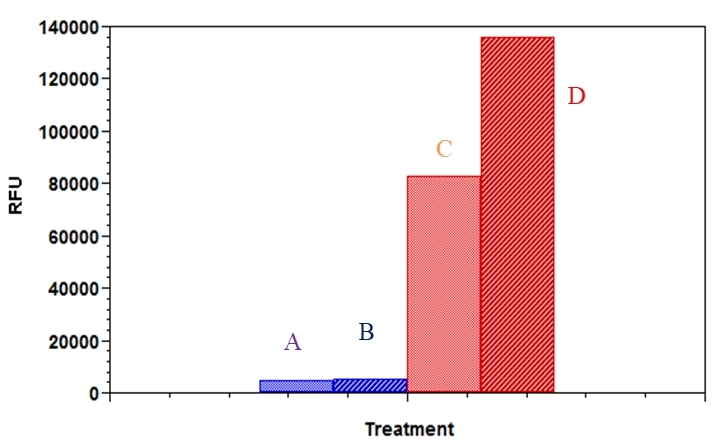 Comparison of fatty acid uptake by 3T3-L1 adipocytes and fibroblast. Cells were plated at 50,000 cells/100 mL/well in a 96 well black wall/clear bottom poly-D lysine plate for 5 hours, and then serum deprived for 1 hour. Cells were treated without (control) or with insulin (150 nM), and incubated at 37 ºC, 5% CO<sub>2 </sub>incubator for 30 min. At the end of the incubation time, 100 µl of fatty acid mixture was added into the well, and incubated for another 60 min, the fluorescence signal was measured with a FlexStation plate reader using bottom read mode. A – fibroblasts (Control); B – fibroblasts (Insulin); C – adipocytes (Control); D– adipocytes (Insulin).