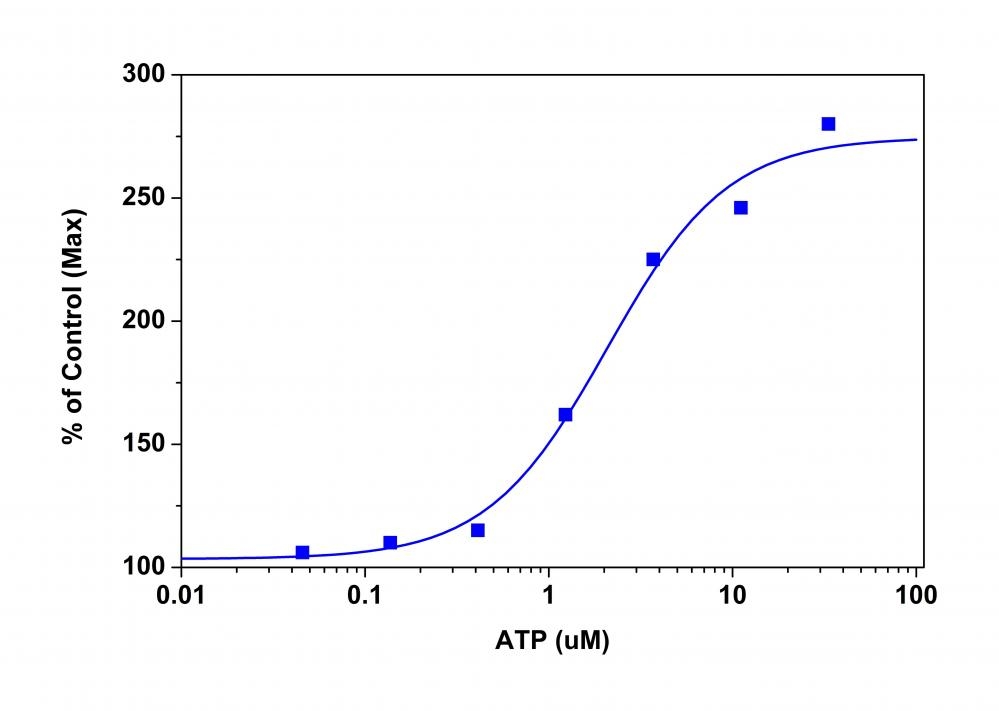 <p>ATP dose response in HEK cells transiently transfected with P2X receptor. HEK cells transiently transfected with P2X receptor were seeded overnight at 40,000 cells/100 µL/well in a Costar black wall/clear bottom 96-well plate. The cells were incubated with 100 µL of the MP dye-loading solution in a 5% CO2, 37 °C incubator for 60 minutes. ATP (50 µL/well) was added by FlexStation to achieve the final indicated concentrations. The fluorescence signal was measured with bottom read mode at Ex/Em = 530/570 nm (cutoff at 550 nm).</p>