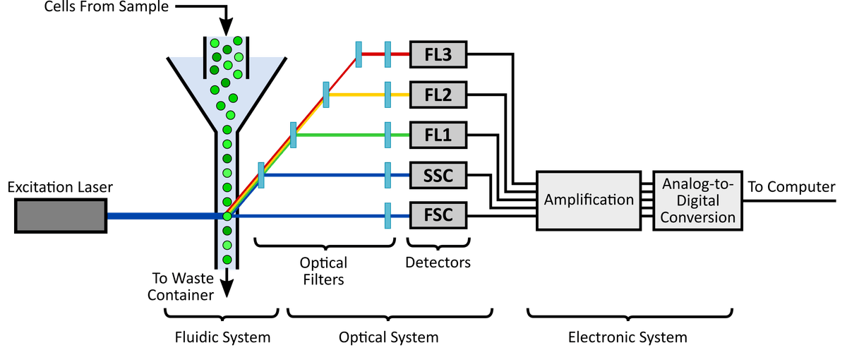 Schematic of a flow cytometer