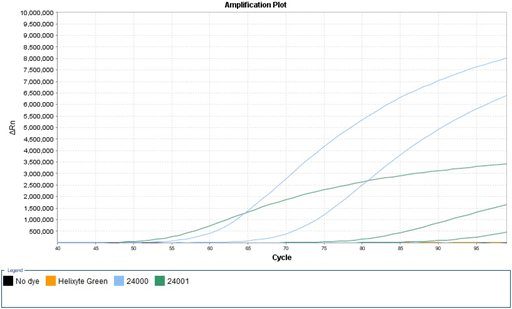 RT-PCR LAMP vs. BRCA primers